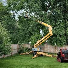 Best Commercial Tree Services  in Carbonville, UT