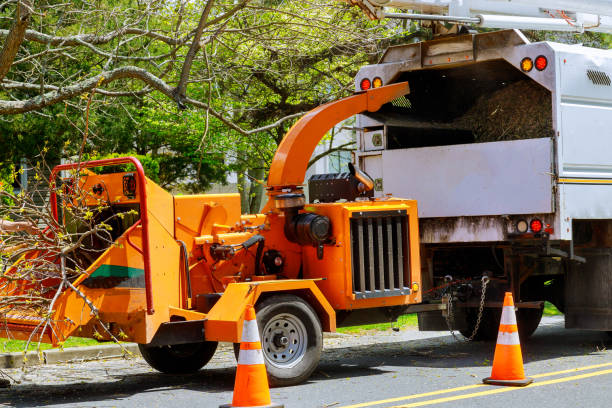 Best Tree and Shrub Care  in Carbonville, UT